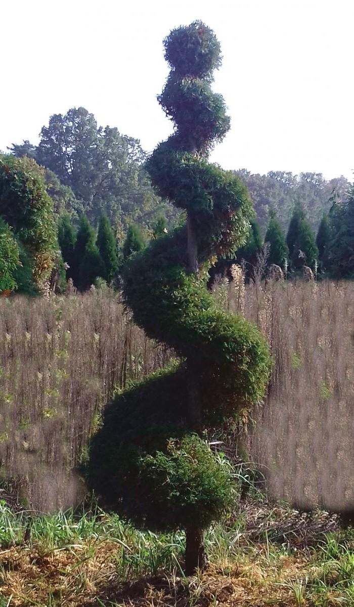 مواد الحضانة الزخرفية